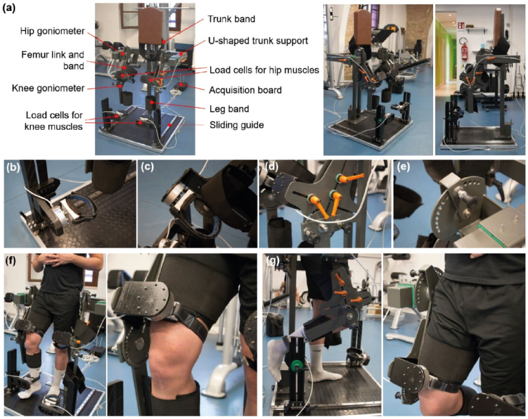 The Science Behind Optimal MMT Knee Flexion Angle: A Comprehensive Guide